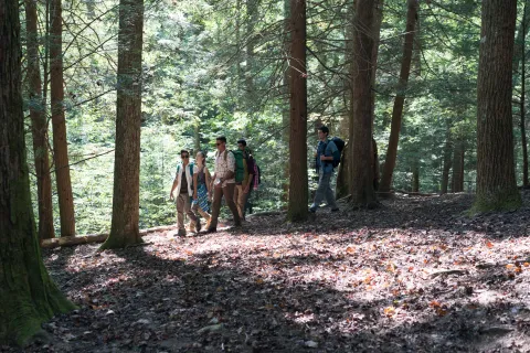 Поворот не туда: Наследие — кадр 11