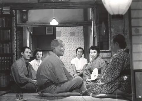 Поздняя весна — кадр 8