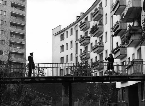 Дверь без замка — кадр 4