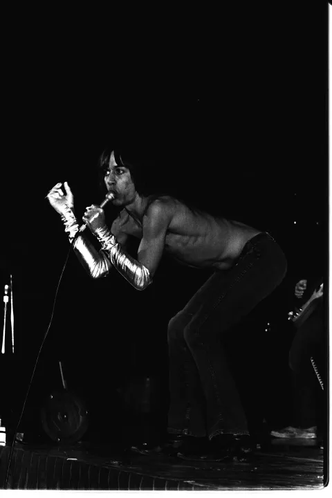 Gimme Danger. История Игги и The Stooges — кадр 6