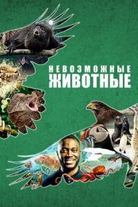 Невозможные животные (2021)