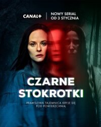 Странные Ангелы (2024)