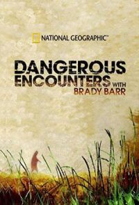 National Geographic. Опасные встречи (2005)