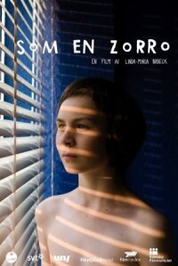Такой, как Зорро (2012)
