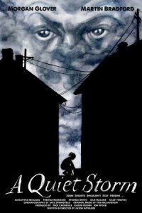 Тихий шторм (Закон района №9) (2016)