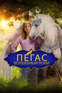Пони с перебитым крылом